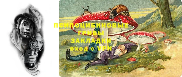 амф Липки