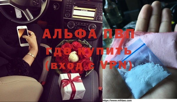 амф Липки
