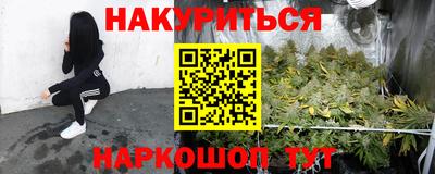 крисы Партизанск