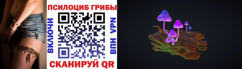 Псилоцибиновые грибы MAGIC MUSHROOMS omg зеркало Свободный продажа наркотиков