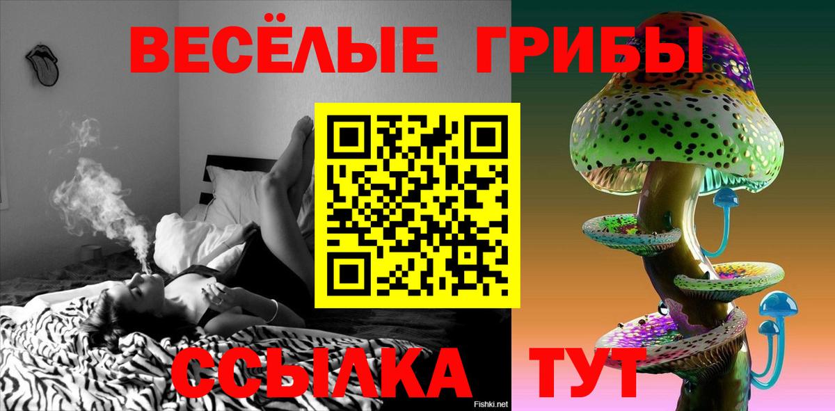 Галлюциногенные грибы мицелий Свободный