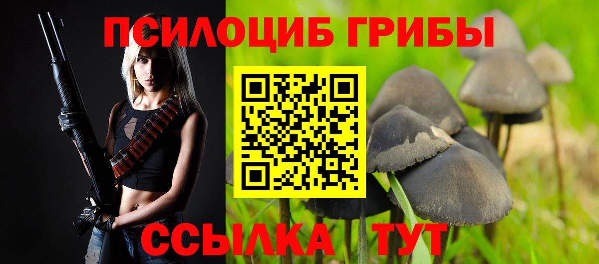 Свободный  наркотики  Вход с VPN  Псилоцибиновые грибы Cubensis 