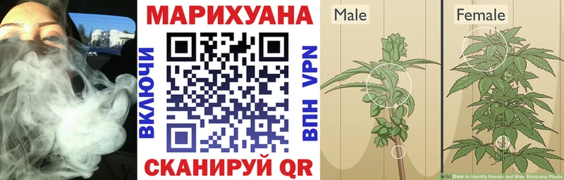 МАРИХУАНА Ganja  Свободный 