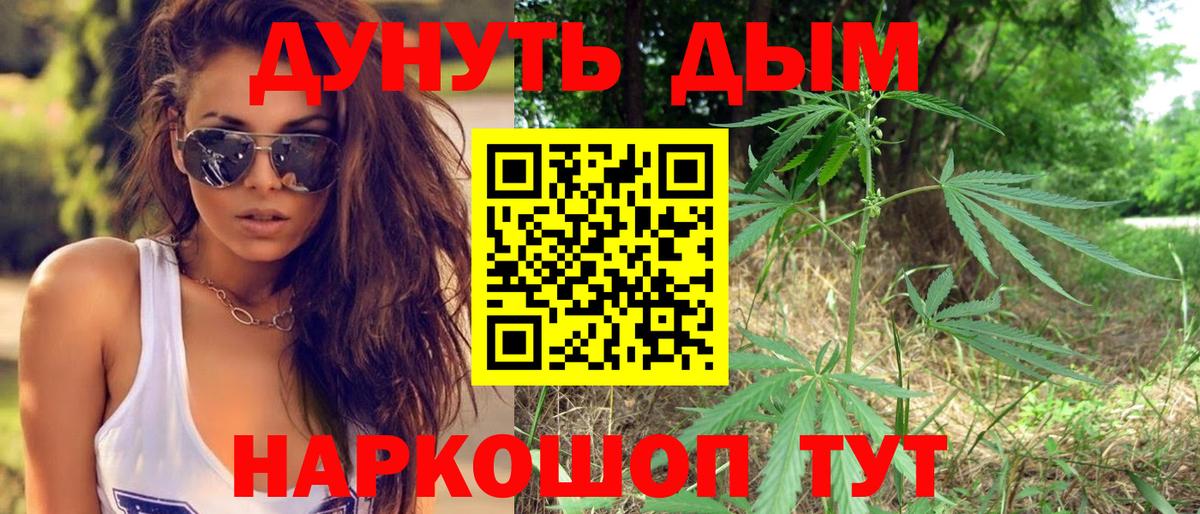 Бошки марихуана Amnesia  Каннабис планчик  Марихуана сатива  Вход с VPN  Свободный 
